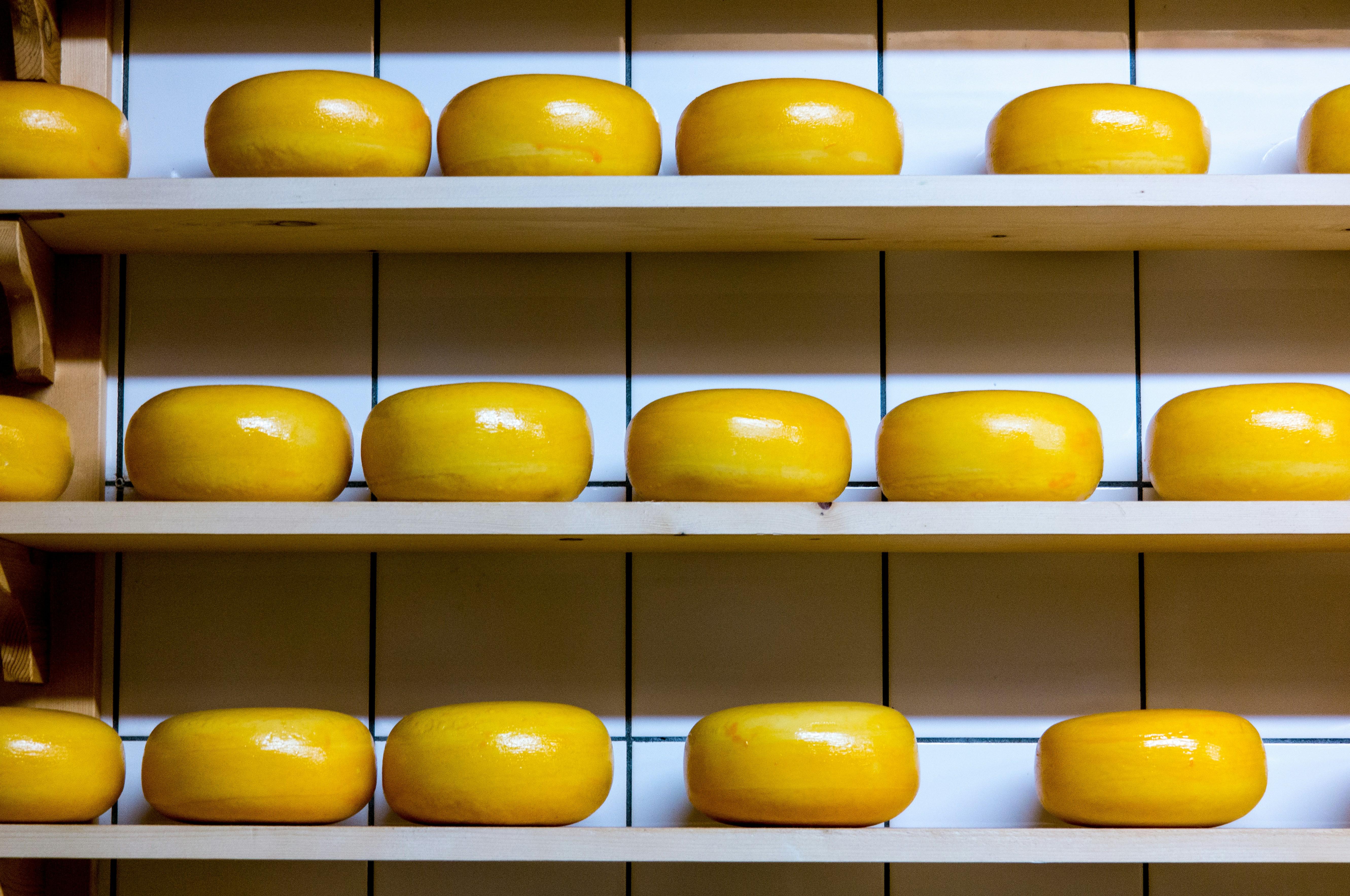 A picture of cheese